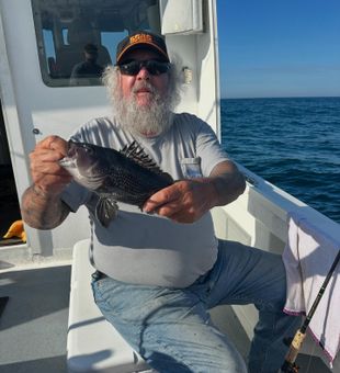 Nice black sea bass from Neptune City waters!