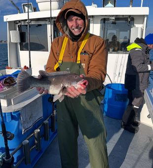 Solid black sea bass catch on an offshore fishing trip