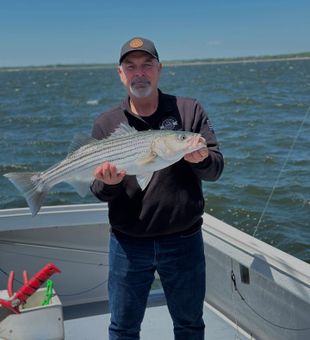 Another awesome trip on the Atlantic.