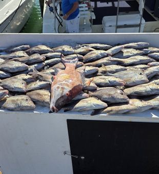 Cast away and enjoy the view