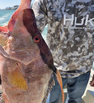 Clearwater mornings hit different