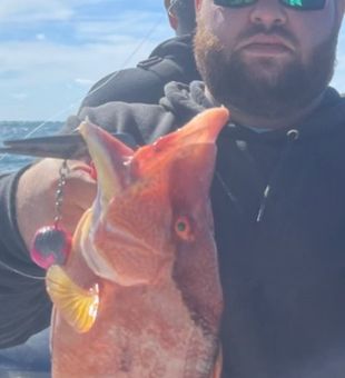 Where every cast counts