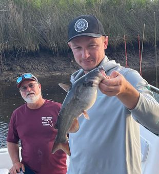The elusive catfish!