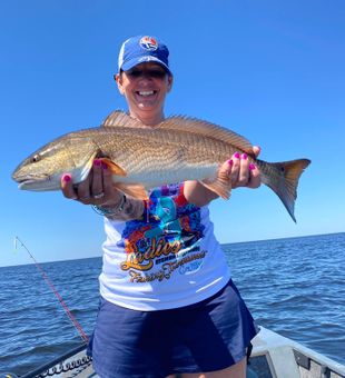 The perfect Red Drum in display!