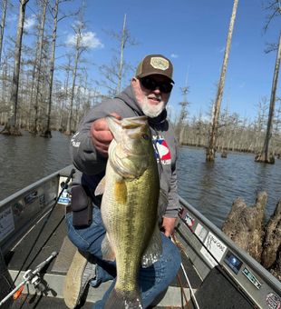Big largemouth bass! 