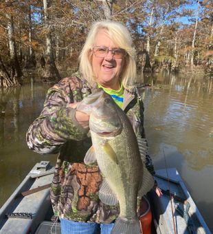 Bass fishing in the morning