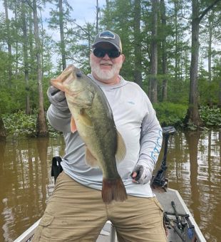 Reeling in Pickwick's Finest