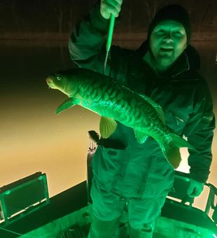 Trophy Hunting: PA Bowfishing Delights