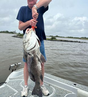 Black Drum Fishing Adventures in Louisiana