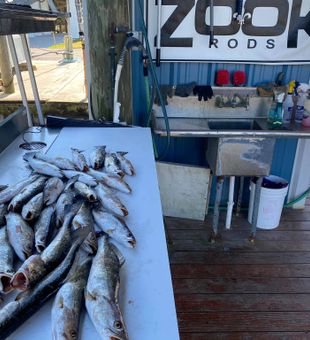 When the lines stay tight, you know it’s a good day in Louisiana.