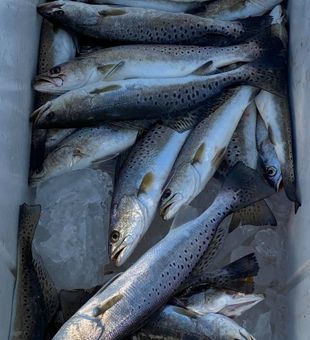 Every trip is a memory made on the water here in the Sportsman’s Paradise.