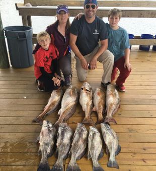 Family Redfish and Black Drum haul