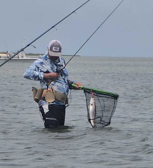 Wadefishing for trout is a great way to catch fish and keep cool in the summer heat
