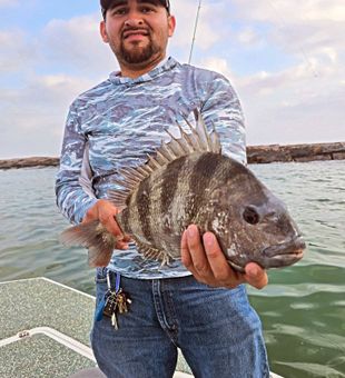 Nice Point Comfort sheepshead ready for the cooler!