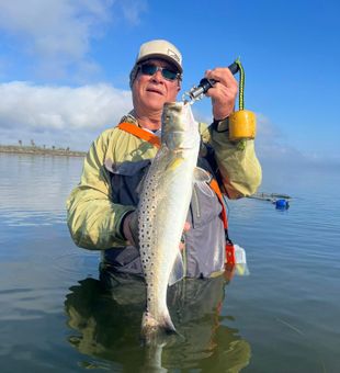 Beautiful speckled trout from Port Arthur TX!