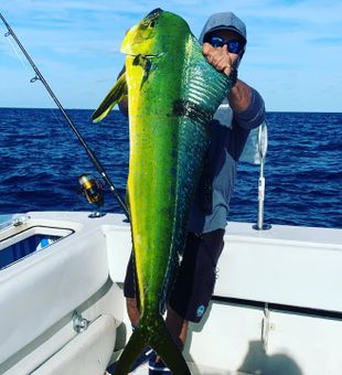 Strong mahi action along the Miami coast today