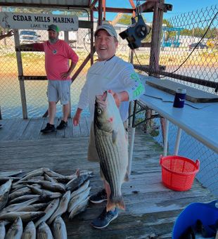 Impressive Lake Texoma striped bass