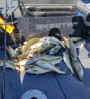 Catch on Erie trips