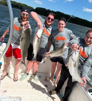 Quality striped bass catch group inshore action