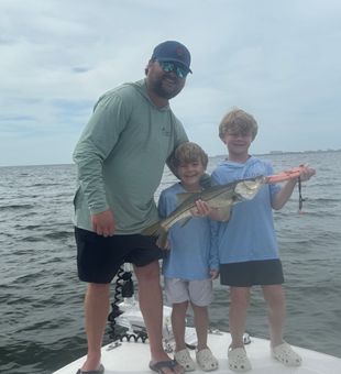 Nice Bradenton snook on the boat today!