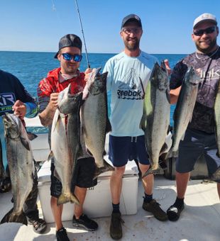 Chasing salmon under the Lake Ontario sun