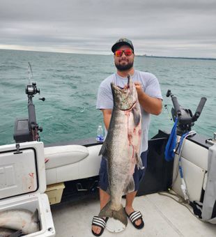 Salmon strikes in every direction