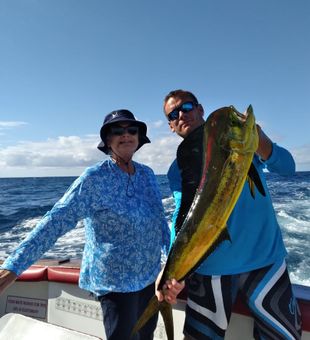 Exquisite Mahi-Mahi Capture