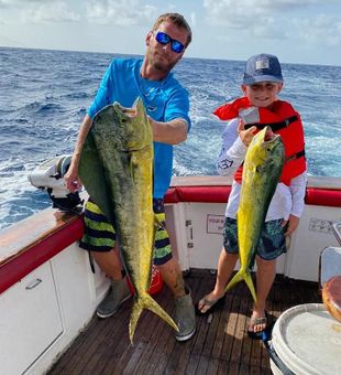 Florida's Tropical Waters Majesty