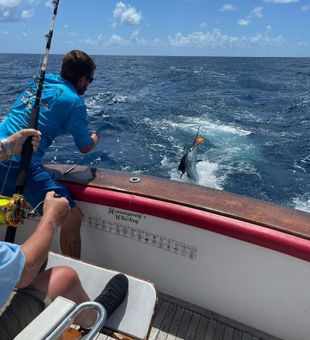 Thrilling Sailfish Catch In Florida Waters