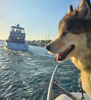 Catching waves and fish in Huntington Beach
