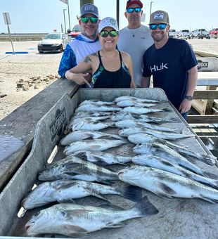 Experienced anglers are limiting out in Texas!