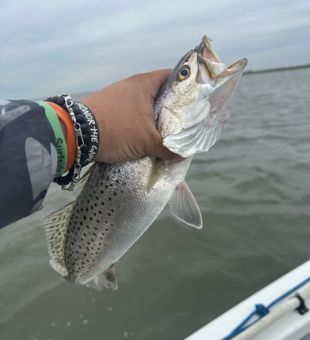 Crisp morning on the water