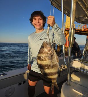 Chunky Sheepshead at the rig!