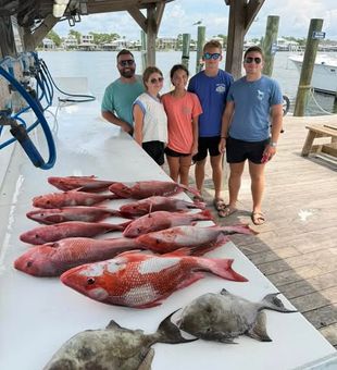 Drop your line into the Gulf of Mexico and discover the thrill of bottom fishing around reefs and productive fishing grounds.