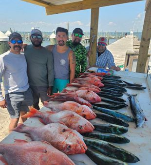 Gulf Shores red snapper catch