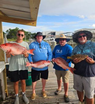 Snapper Runs in Full Swing
