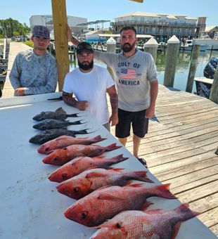 Gulf Shores red snapper charter