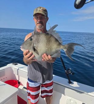 Spend quality time on the water with a Gulf Shores offshore fishing charter designed for families, beginners, and experienced anglers alike.