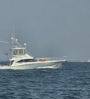 Ready for action in Gulf Shores waters!