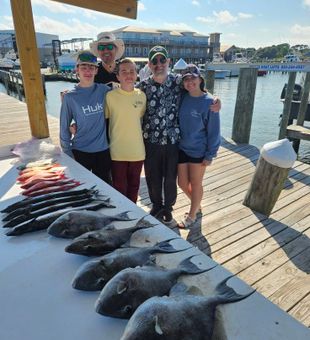Outstanding Gulf Shores Grey Triggerfish action!