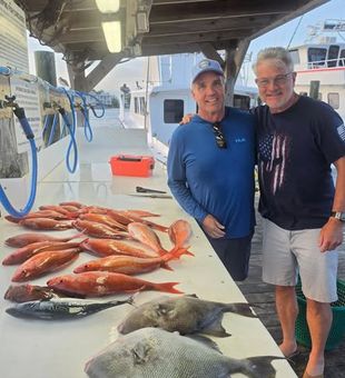 Reel in unforgettable memories with an offshore family fishing trip in Gulf Shores, AL! Perfect for anglers of all ages chasing big catches in the Gulf waters.