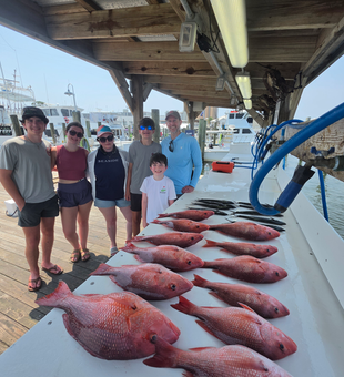 Eight Gulf Shores red snapper lined up perfectly!