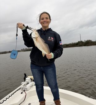 Landing a powerful Texas redfish on a beautiful day of inshore fishing along the Gulf Coast.