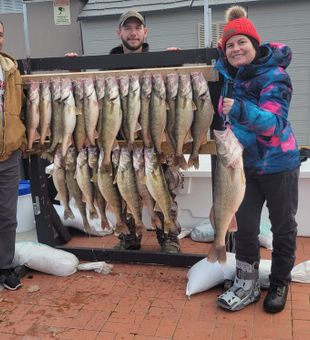 Lured Walleye in Lorain, OH