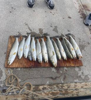 Trout Fishing Charter in Florida 2022