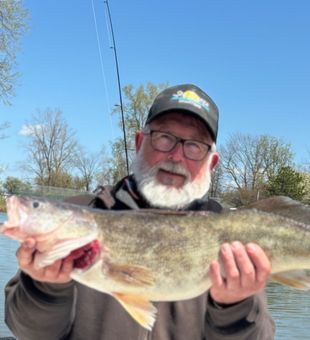 Lake Erie walleye – catch of the day!