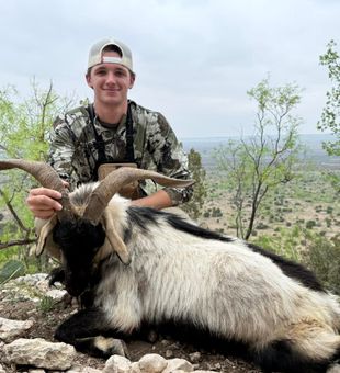 Enjoy professionally guided Texas hunting adventures designed for beginners, families, and seasoned hunters alike.