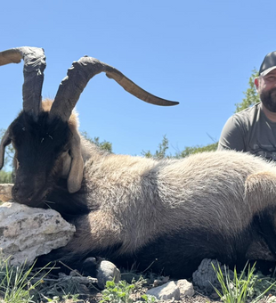 Ram Slam Packages in Texas