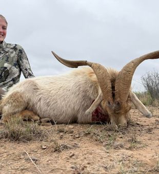 Big landscapes, abundant wildlife, and authentic outdoor experiences make Texas a hunter's paradise.