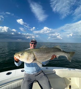 Striped Bass Fishing in Boston